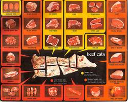 Diagram Beef Cuts